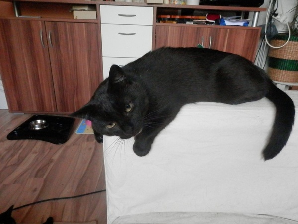 20130814223713-ada0d0cf.jpg