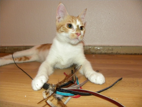 20130824231455-21364af7.jpg