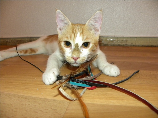 20130824231520-cd3ce2db.jpg