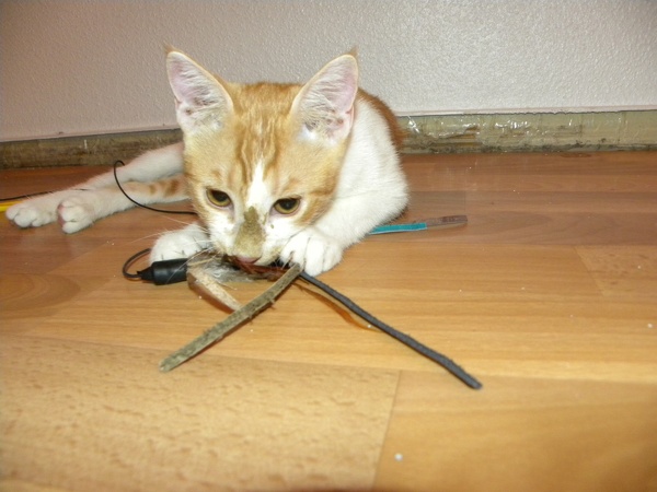 20130824231606-ce407cbd.jpg