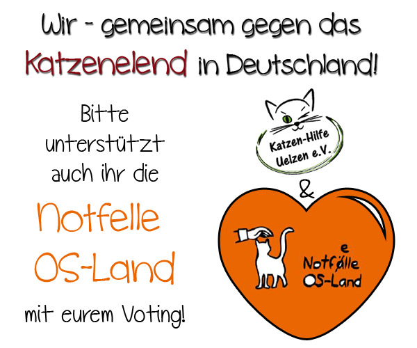 Gemeinsam gegen das Katzenelend in Deutschland