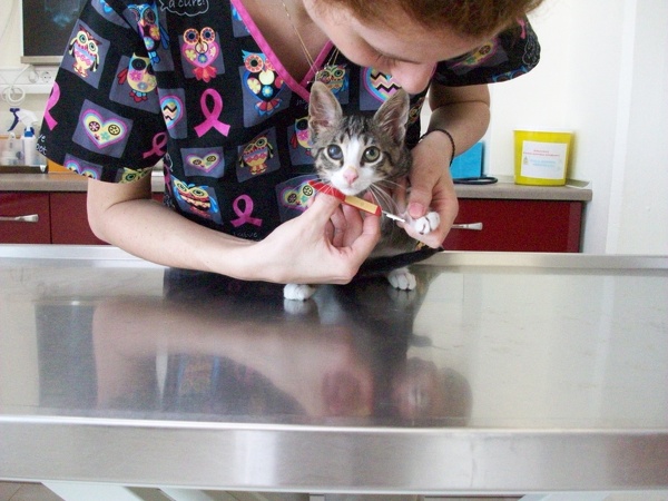 20140625074035-87fc8b0a.jpg