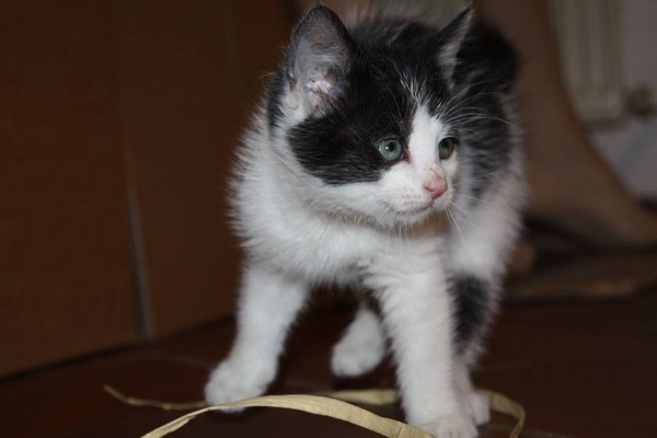20141018111542-1fcb8ae9.jpg