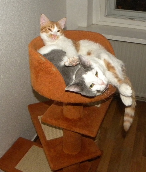 20131116223520-00161fe5-me.jpg