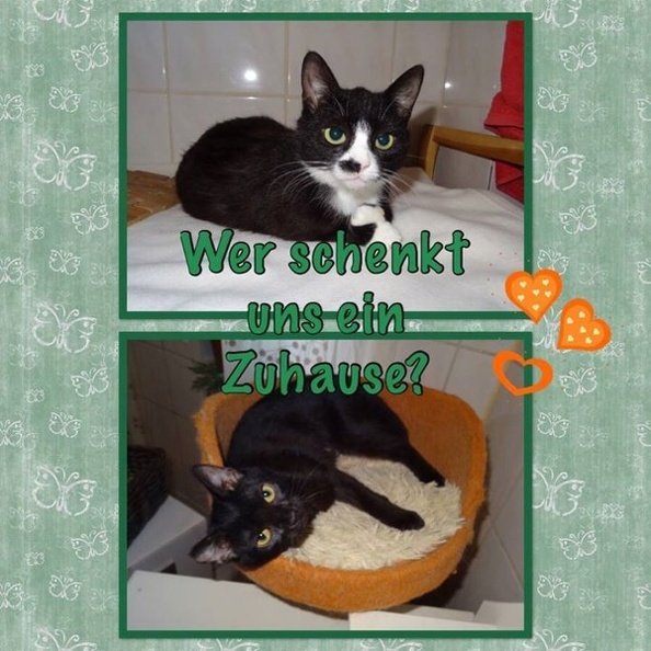 Ylvi und Jo