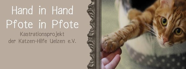 katze yoda vier ohren